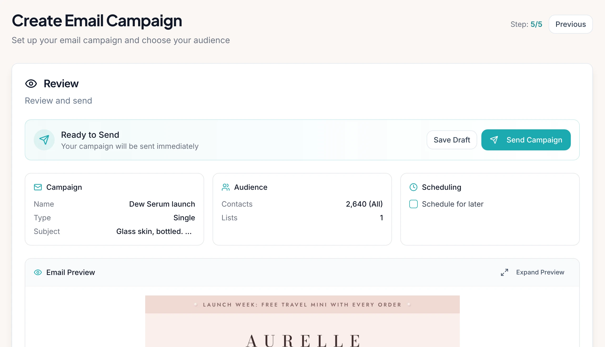 Campaign review step with the audience, subject, and a Send Campaign button